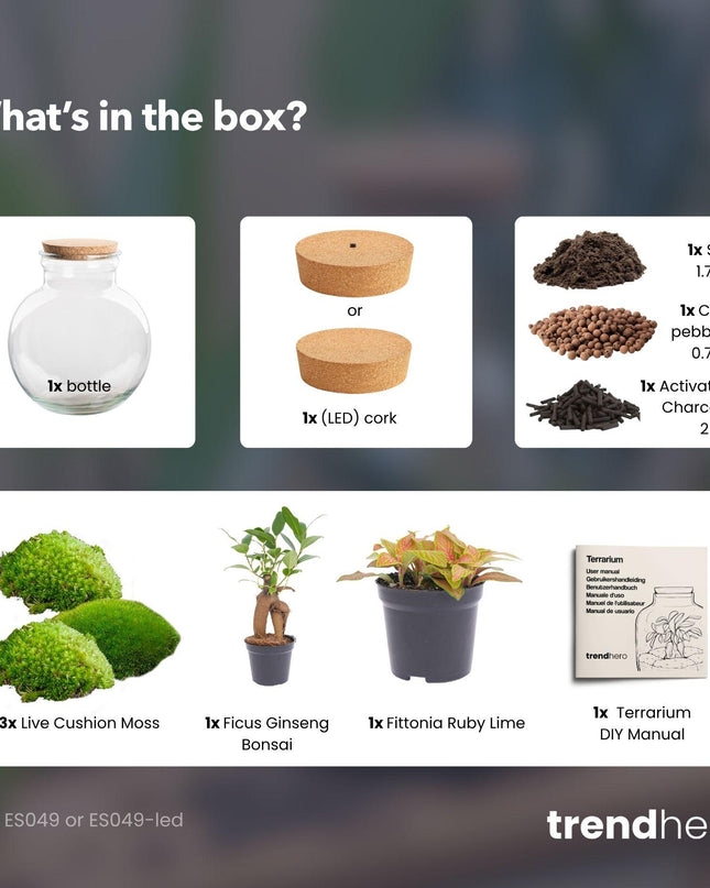 DIY Planten terrarium (met licht) - Teddy Bonsai - Ø 25 cm ↕ 26,5 cm - Met LED-kurk