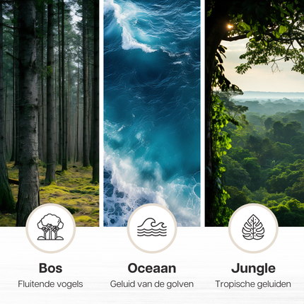 Scatola musicale Melodiez - Legno