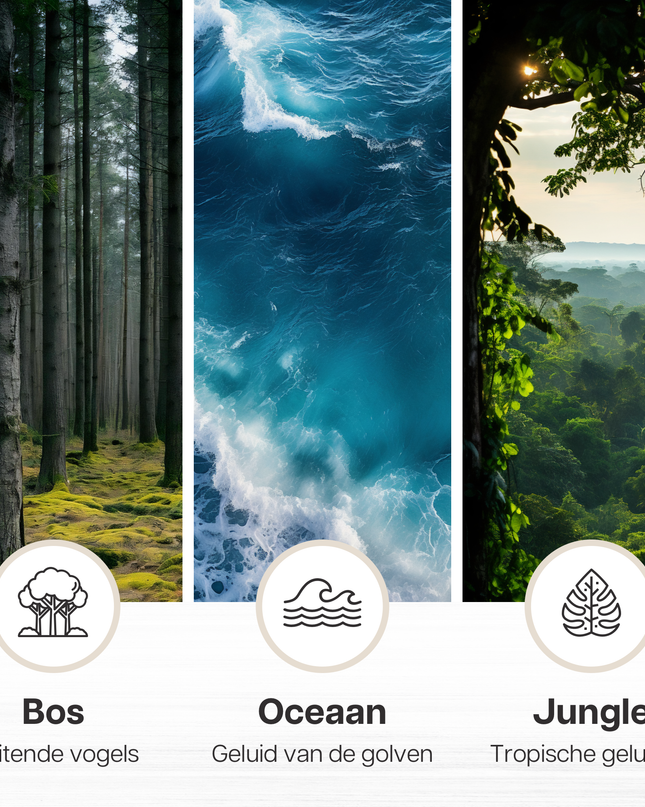 Scatola musicale Melodiez - Legno