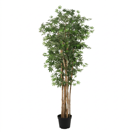 Planta artificial Acer palmatum - 180cm