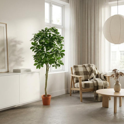 Planta artificial Pachira Aquatica - 150cm