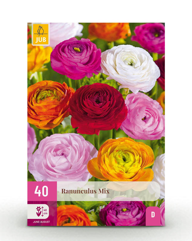 Bloembollen - Ranunculus Mix - Diversen Kleuren - 40 stuks - Bolmaat 5/6 - XXL Pack