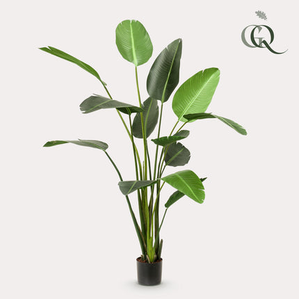Kunstplant - Strelitzia Nicolai - Paradijsvogelbloem -  ↕ 230cm