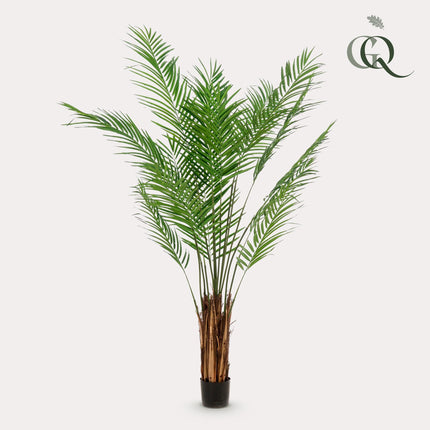 Kunstplant - Areca Lutescens - Goudpalm - ↕ 180 cm