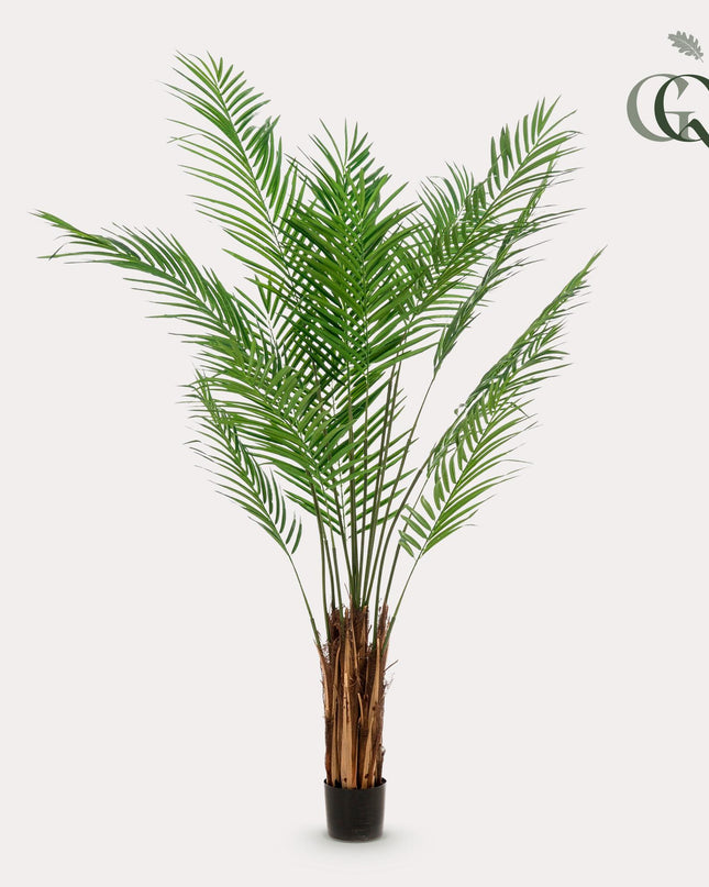 Kunstplant - Areca Lutescens - Goudpalm - ↕ 180 cm