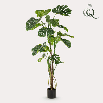 Kunstplant- Monstera - Gatenplant - ↕ 180cm