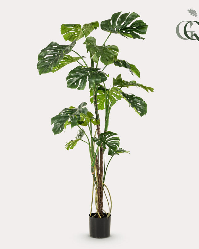 Kunstplant- Monstera - Gatenplant - ↕ 180cm