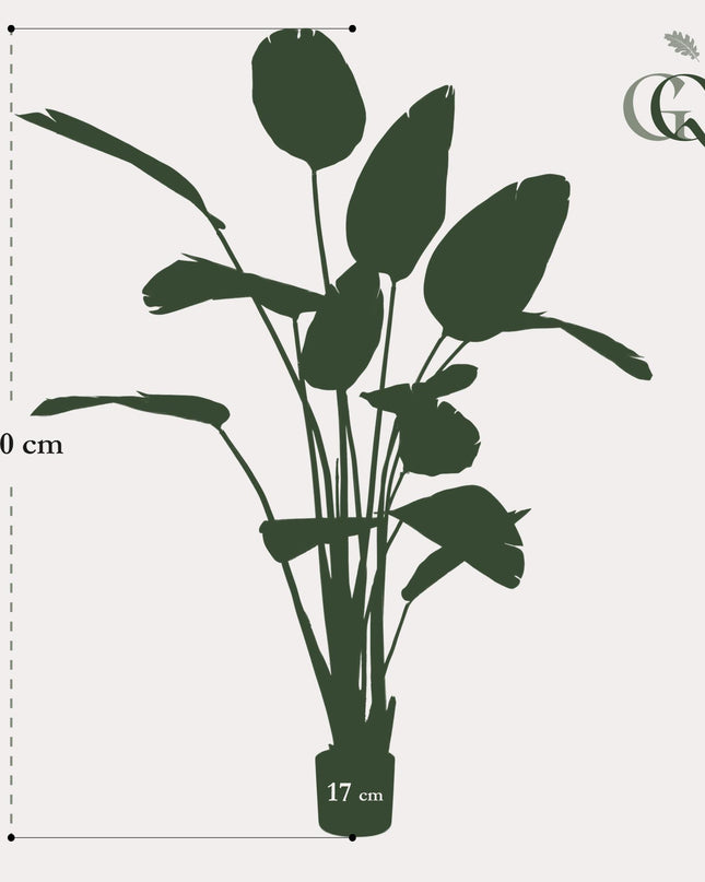 Kunstplant - Strelitzia Nicolai - Paradijsvogelbloem -  ↕ 230cm