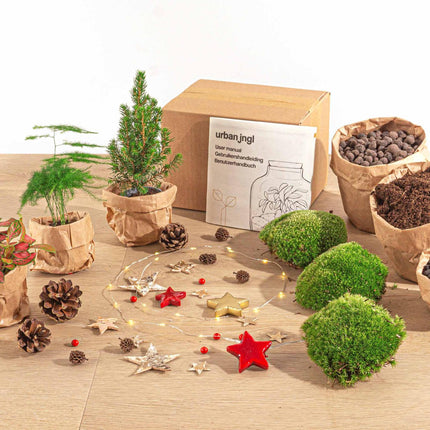 DIY Kerst Terrarium - Mini-kerstboom  - Planten terrarium pakket - 3 planten -  Navulling & Startpakket