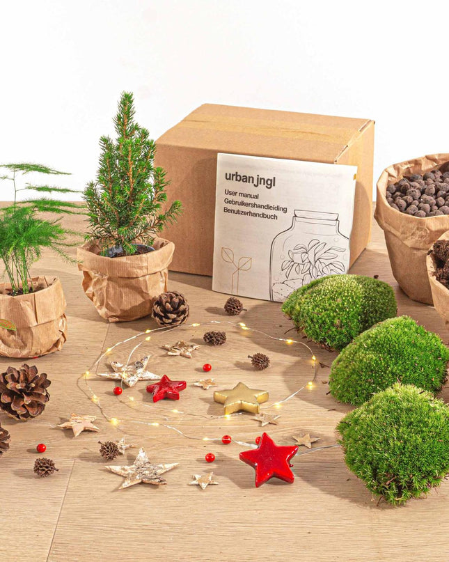 DIY Kerst Terrarium - Mini-kerstboom  - Planten terrarium pakket - 3 planten -  Navulling & Startpakket