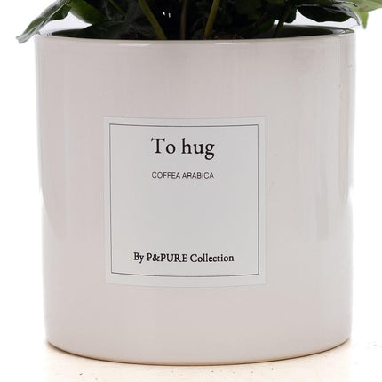 Coffea Arabica Gift "To Hug" met wenskaart - Ø12cm - ↕20cm