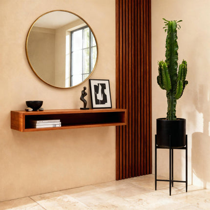 Euphorbia eritrea - Afrikanischer Milchbaum - 2 Stück - Topf 19 cm - Höhe 70 cm