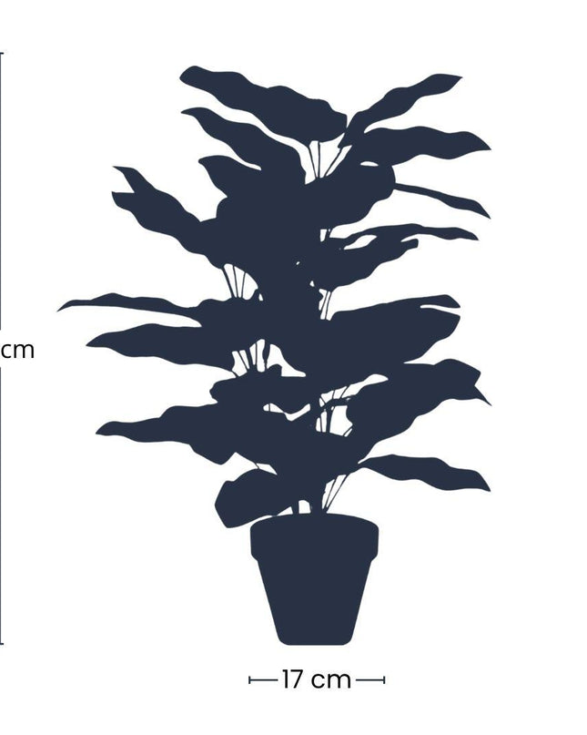 Kunstplant - Calathea in pot - ↕ 65 cm hoog