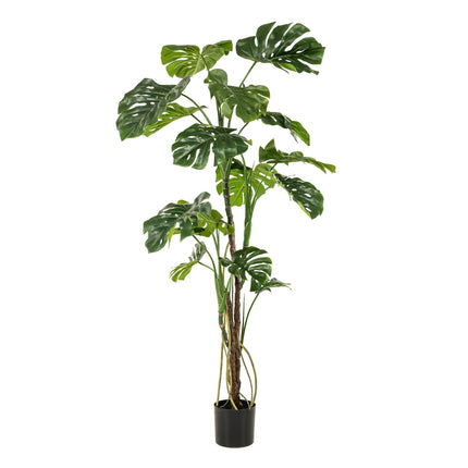 Kunstplant- Monstera - Gatenplant - ↕ 180cm