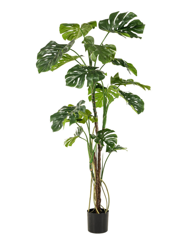 Kunstplant- Monstera - Gatenplant - ↕ 180cm