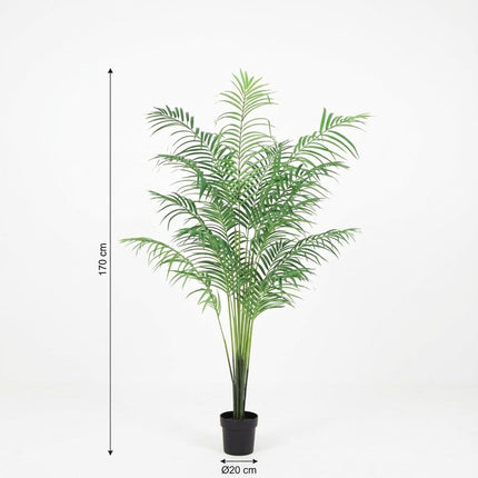 Planta artificial Palma Kentia - 170cm