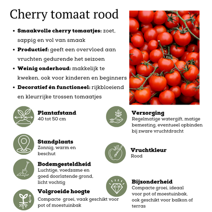 Mezcla de verduras rojas para cosechar de 3 plantas - Tomate cherry - Pimiento snack rojo - Planta de chile rojo picante - Ø 14 cm - ↨ 45 cm