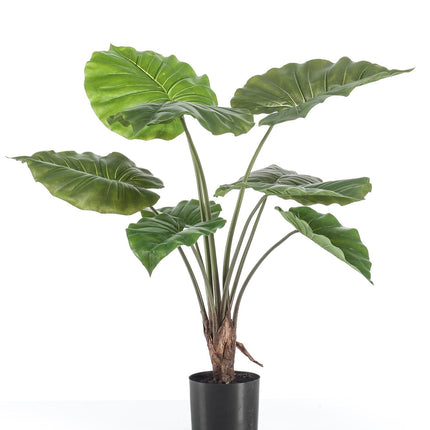 Kunstplant - Alocasia - Olifantsoor - ↕ 70 cm
