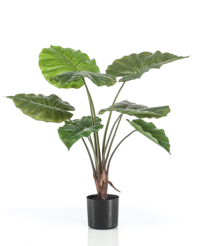 Kunstplant - Alocasia - Olifantsoor - ↕ 70 cm