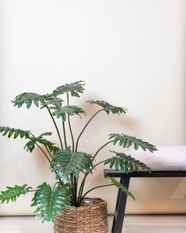 Kunstplant - Philodendron - ↕ 105 cm
