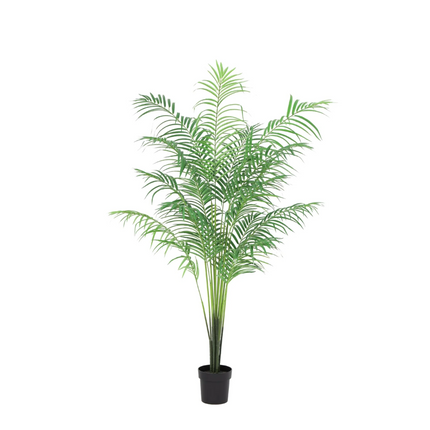 Planta artificial Palma Kentia - 170cm