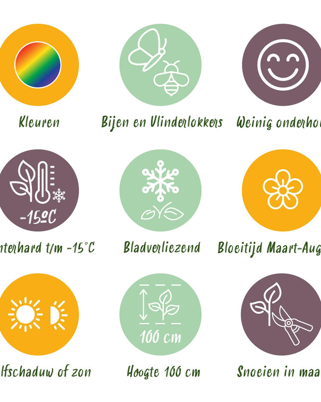 Borderpakket - Kleur Wit - 8 Vaste planten - 1 m2 - Diversen kleuren - Weinig Onderhoud - Pot 11cm