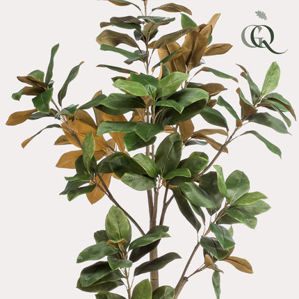 Kunstplant - Magnolia Grandiflora - ↕ 180 cm