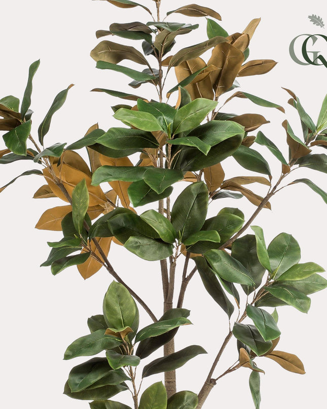 Kunstplant - Magnolia Grandiflora - ↕ 180 cm