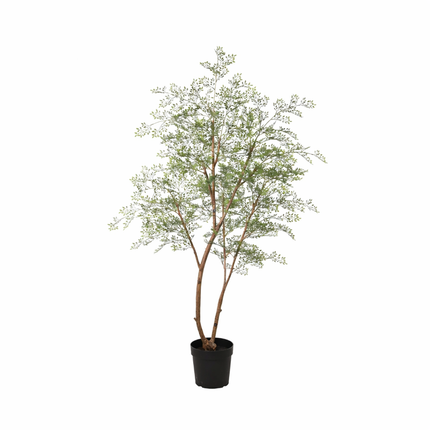 Planta artificial árbol Cassia - 180cm