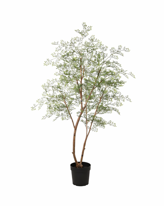 Planta artificial árbol Cassia - 180cm
