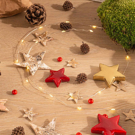 DIY Kerst Terrarium - Mini-kerstboom  - Planten terrarium pakket - 3 planten -  Navulling & Startpakket