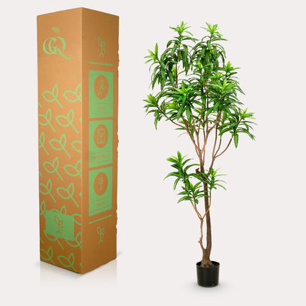 Kunstplant - Dracaena - Drakenboom - ↕ 190 cm