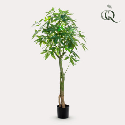 Kunstplant - Pachira Aquatica - Geldboom - ↕ 150 cm