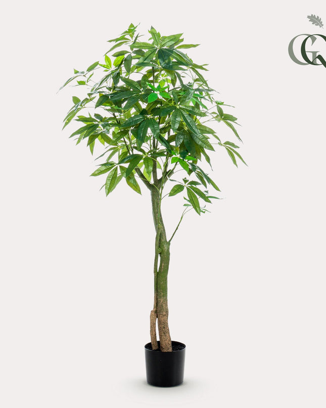 Kunstplant - Pachira Aquatica - Geldboom - ↕ 150 cm