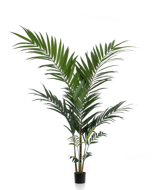 Kunstplant - Kentia -Kentiapalm - ↕ 150cm