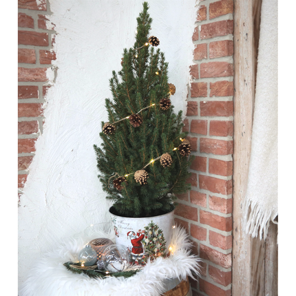 Kleine Kerstboom in Kerstmis sierpot + Pine cone lichtjes incl. batterijen 70 cm - Picea Glauca Conica