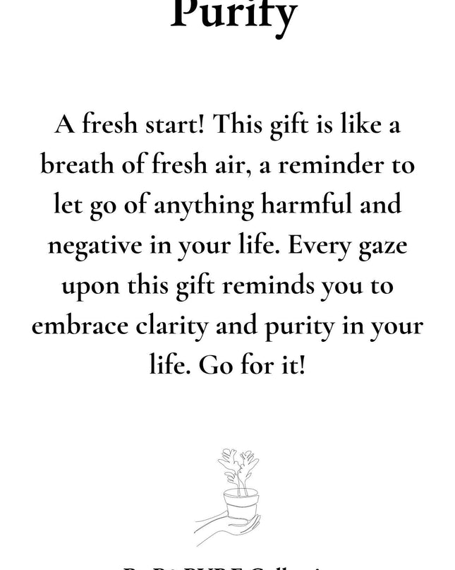 Clusia Rosea Gift "Purify" met wenskaart - Ø12cm - ↕30cm