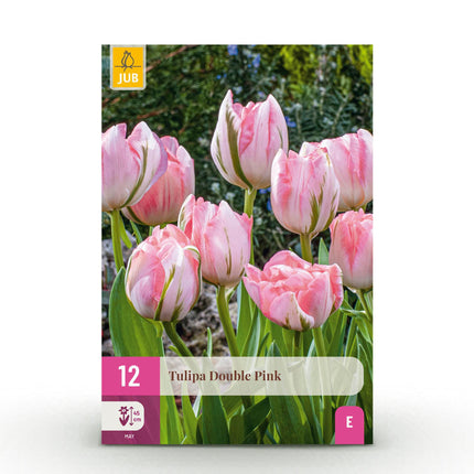 Bloembollen - Tulp Double Pink - Kleur Roze - 12 stuks - Bolmaat 11/12 - XXL Pack