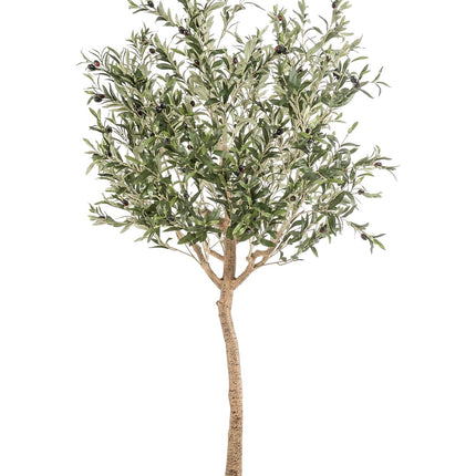 Kunst Olijfboom -  Olea europaea - Olijfboom - ↕ 180 cm