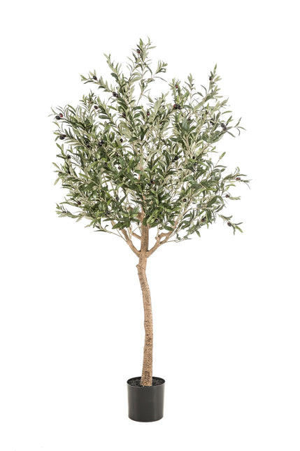 Kunst Olijfboom -  Olea europaea - Olijfboom - ↕ 180 cm