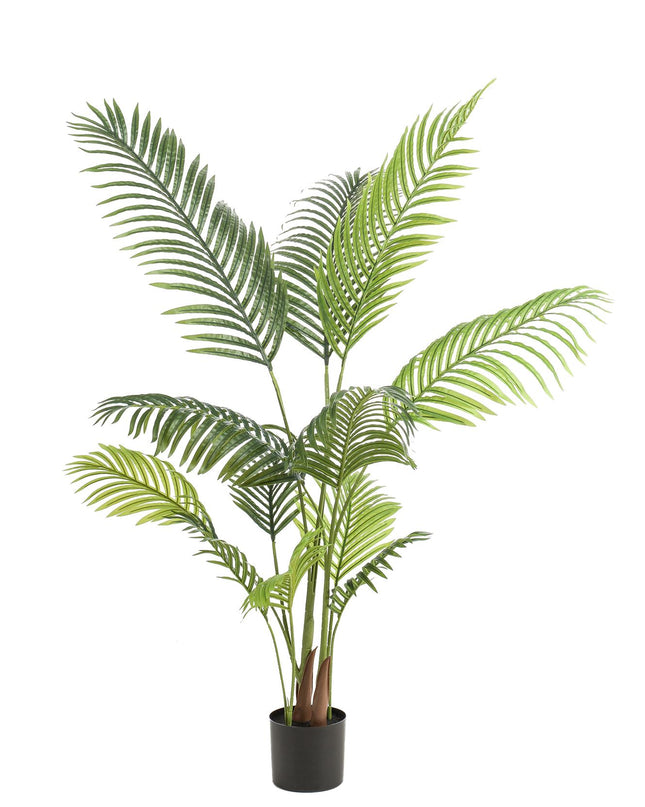 Kunstplant - Howea Forsteriana - ↕ 140 cm