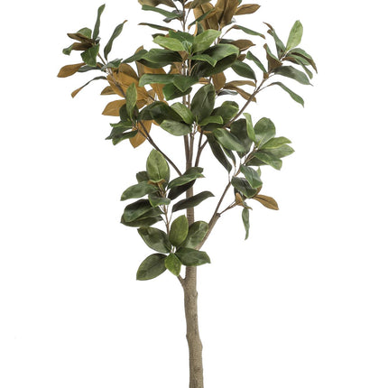 Kunstplant - Magnolia Grandiflora - ↕ 180 cm