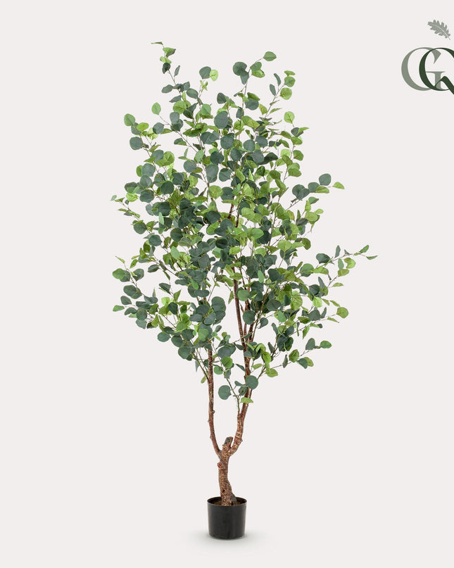 Kunstplant - Eucalyptus - Blauwe Gomboom  - ↕ 180 cm