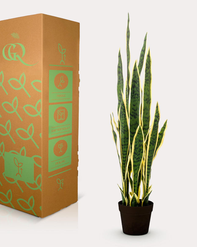 Kunstplant - Sanseveria Trifasciata - Vrouwentong - ↕ 97 cm