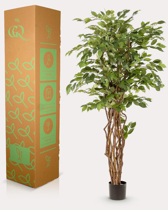 Kunstplant - Ficus liana  - Vioolbladplant - ↕ 170cm