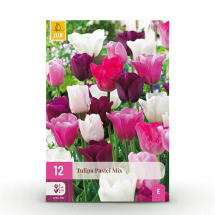 Bloembollen - Tulp Pastel mix - Diversen Kleuren - 12 stuks - Bolmaat 11/12 - XXL Pack