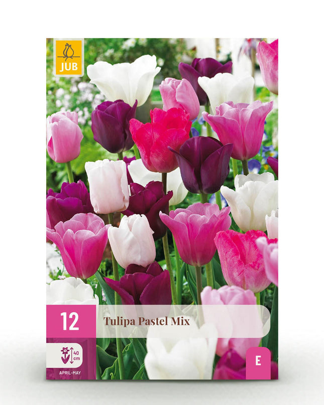 Bloembollen - Tulp Pastel mix - Diversen Kleuren - 12 stuks - Bolmaat 11/12 - XXL Pack