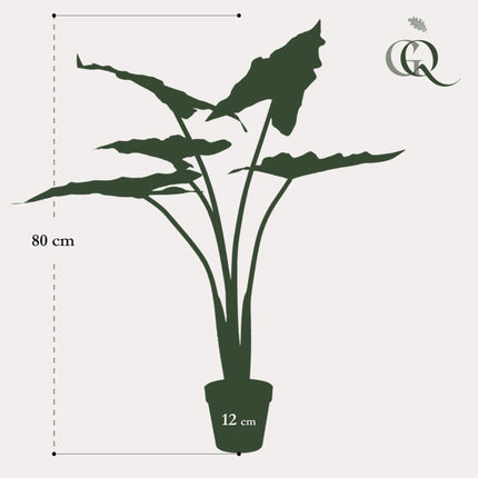 Kunstplant - Alocasia Frydek - Olifantsoor - ↕ 80 cm