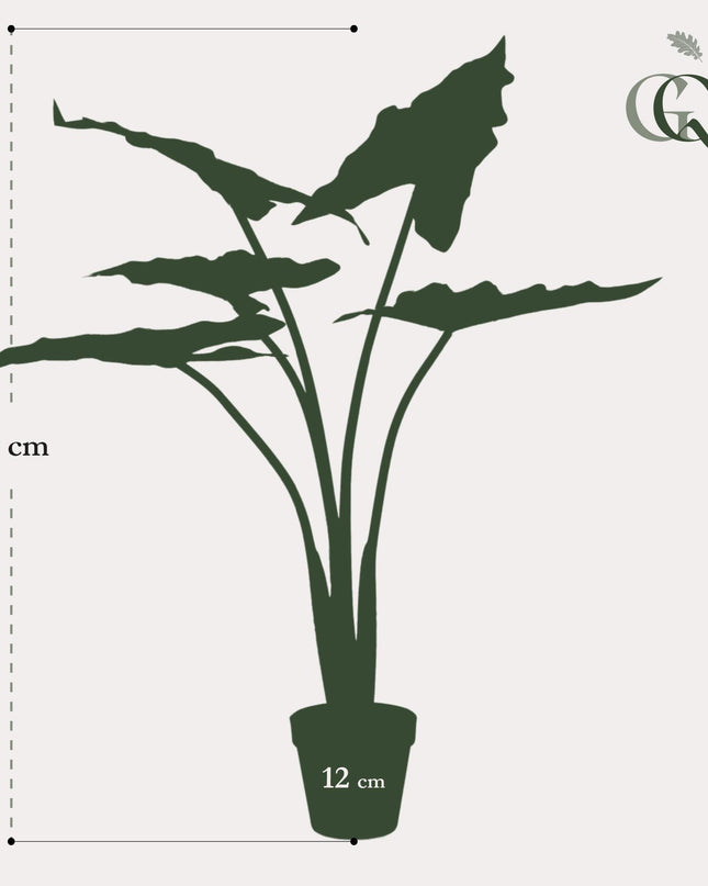 Kunstplant - Alocasia Frydek - Olifantsoor - ↕ 80 cm