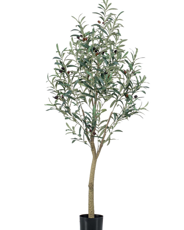 Kunst Olijfboom -  Olea europaea - Olijfboom - ↕ 140 cm